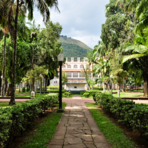 Parque José Affonso Junqueira