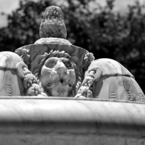 Fonte Pedro Botelho/Leãozinho