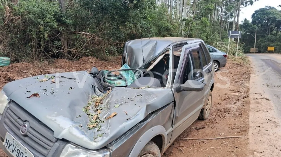 Idoso fica ferido após carro ser atingido por eucalipto na Estrada do Campestrinho