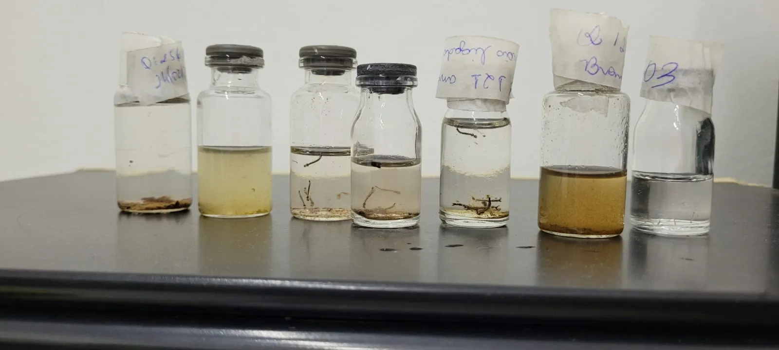 Águas da Prata intensifica bloqueios contra a dengue após dois casos confirmados