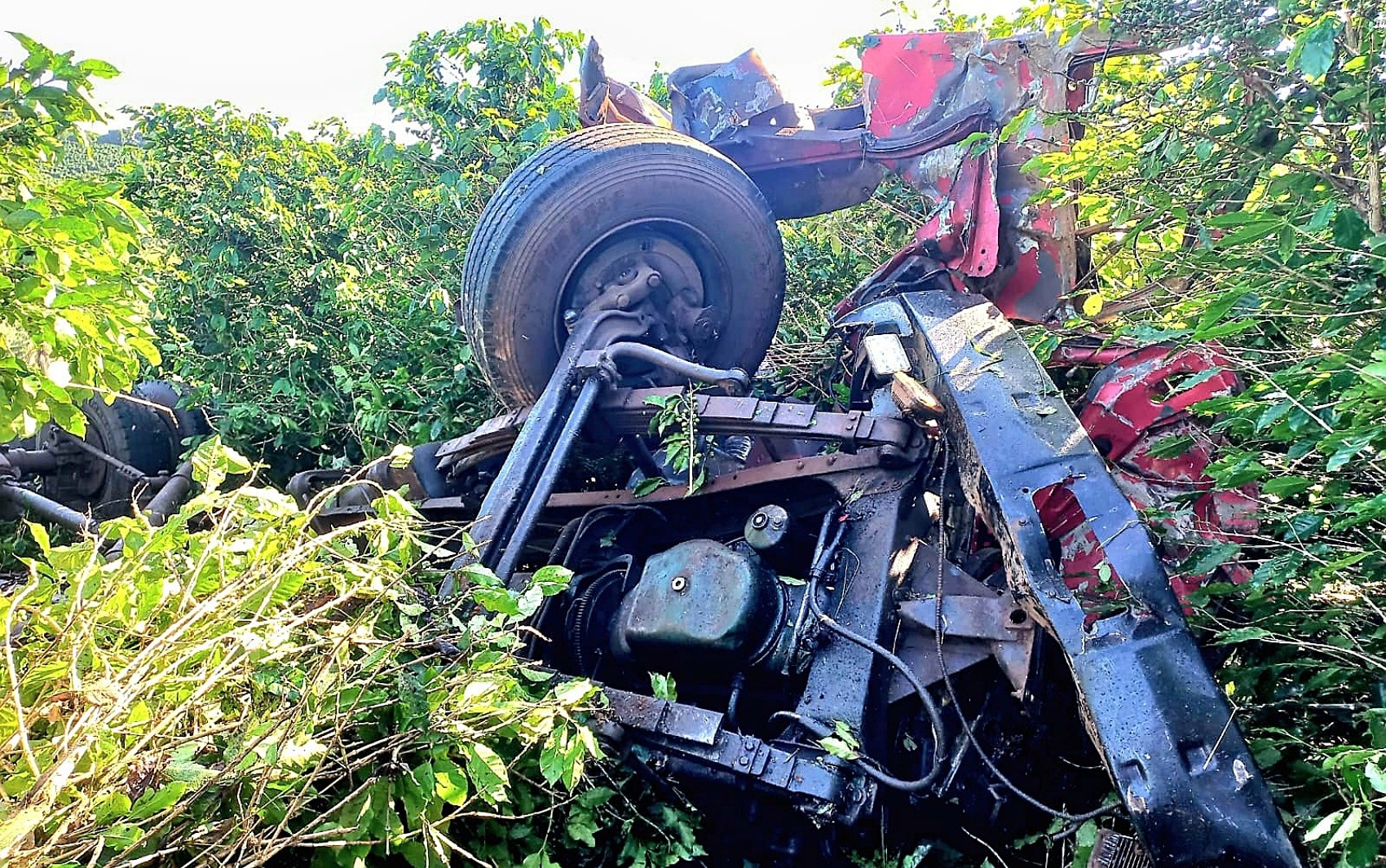 Pai e filho morrem após caminhão capotar na BR-265, em Alpinópolis, MG