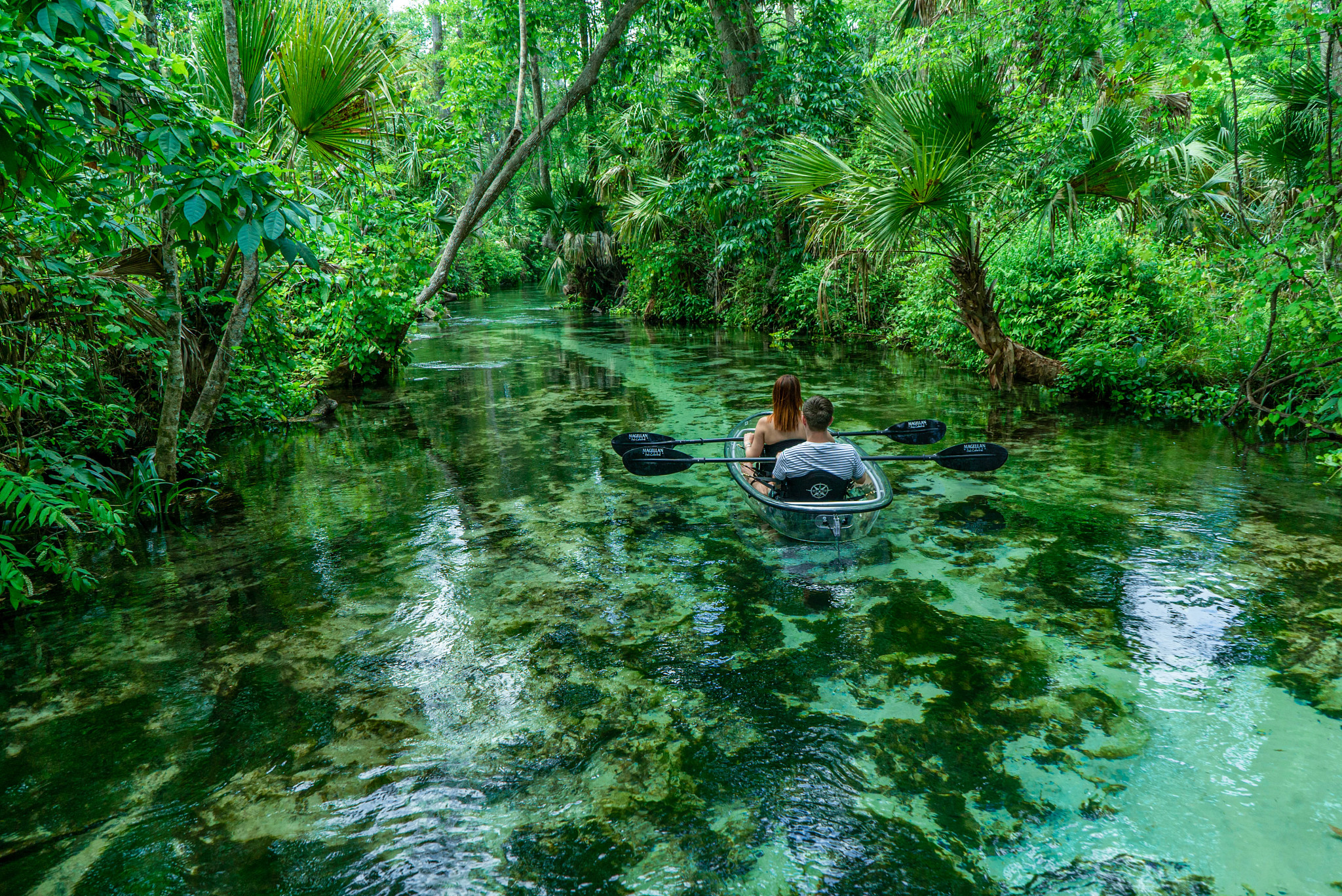 Orlando: 6 atrações e passeios para adultos