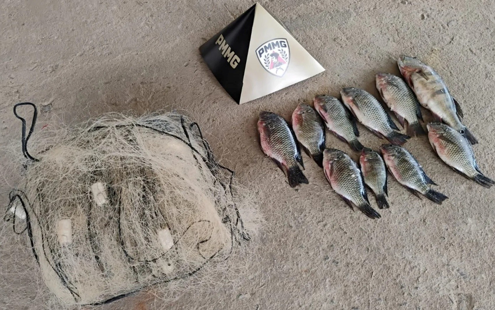 Pesca ilegal, terras raras e atentado em velório: veja as mais lidas da semana no g1 Sul de Minas