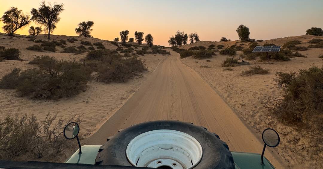 Safári em Dubai permite imersão na cultura beduína