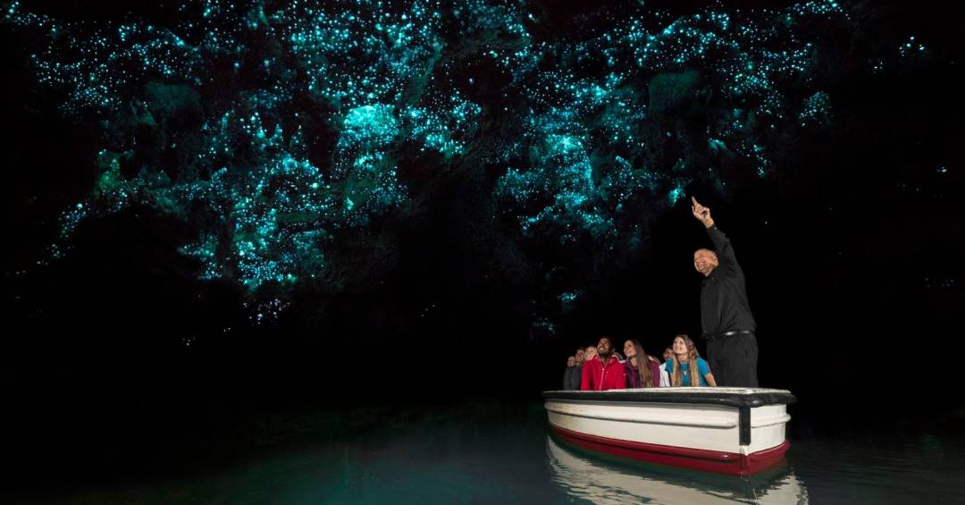 Cavernas de Waitomo: o fenômeno bioluminescente mais surpreendente da Nova Zelândia