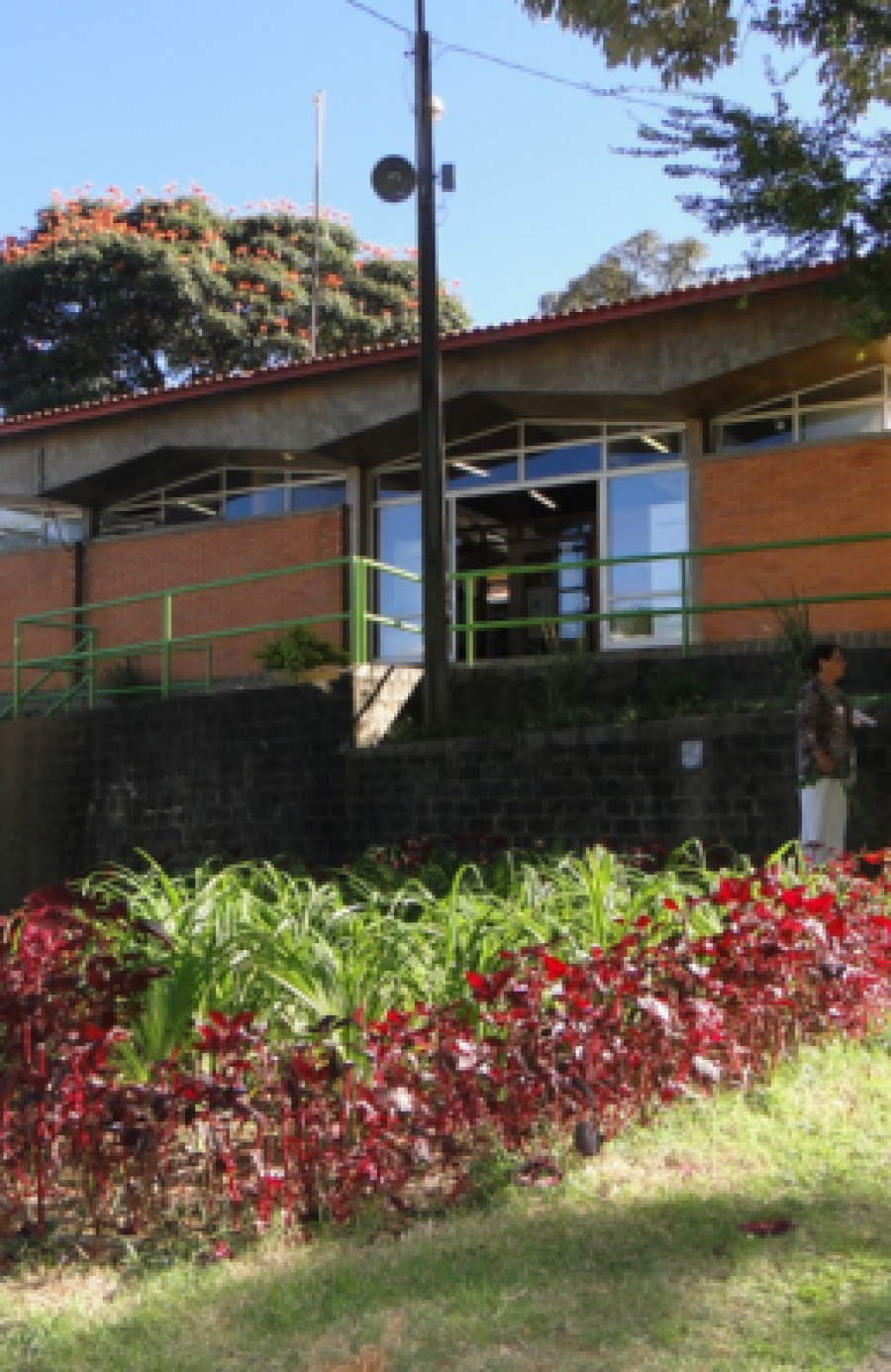 Biblioteca Júlio Bonazzi