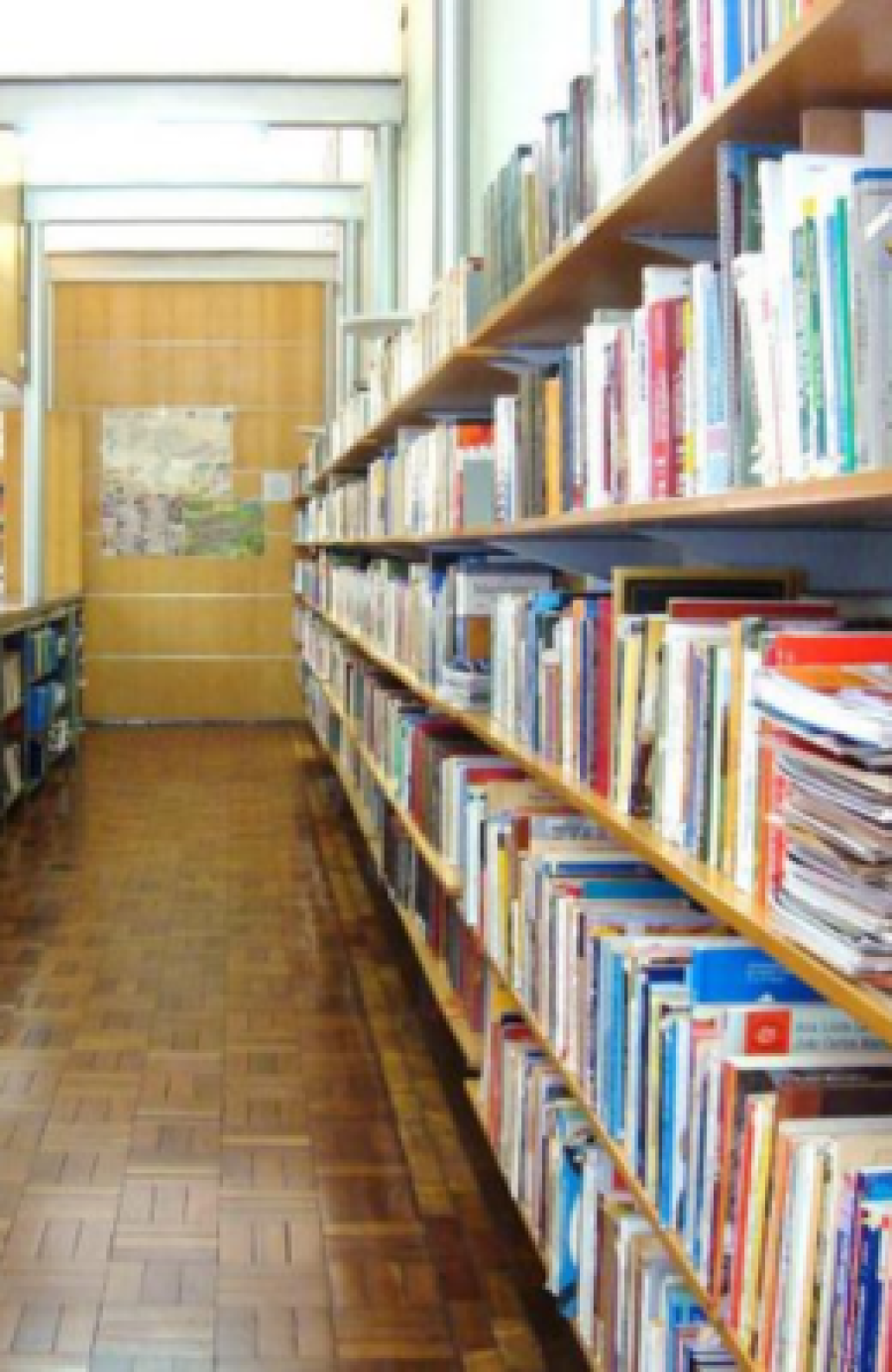 Biblioteca Pública Manuel Francisco Costa Guimarães