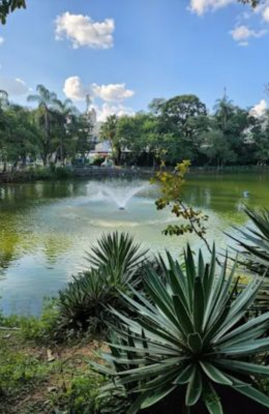 Parque Municipal Novo Horizonte