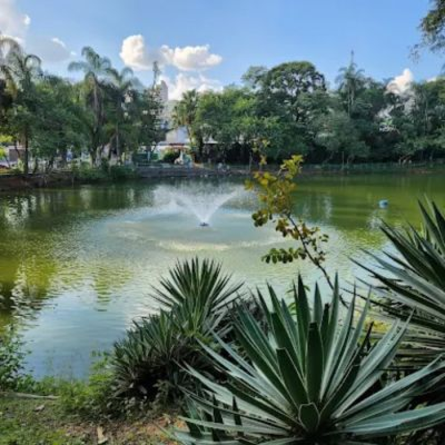 Parque Municipal Novo Horizonte