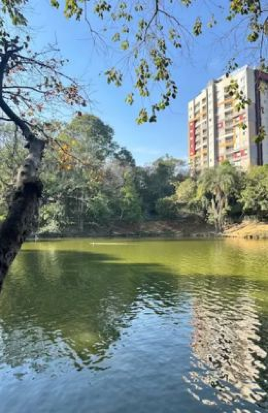 Parque Municipal Novo Horizonte