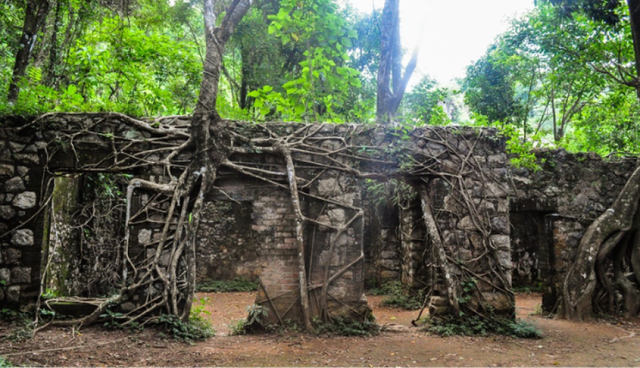 Parque Natural Cascata das Antas	