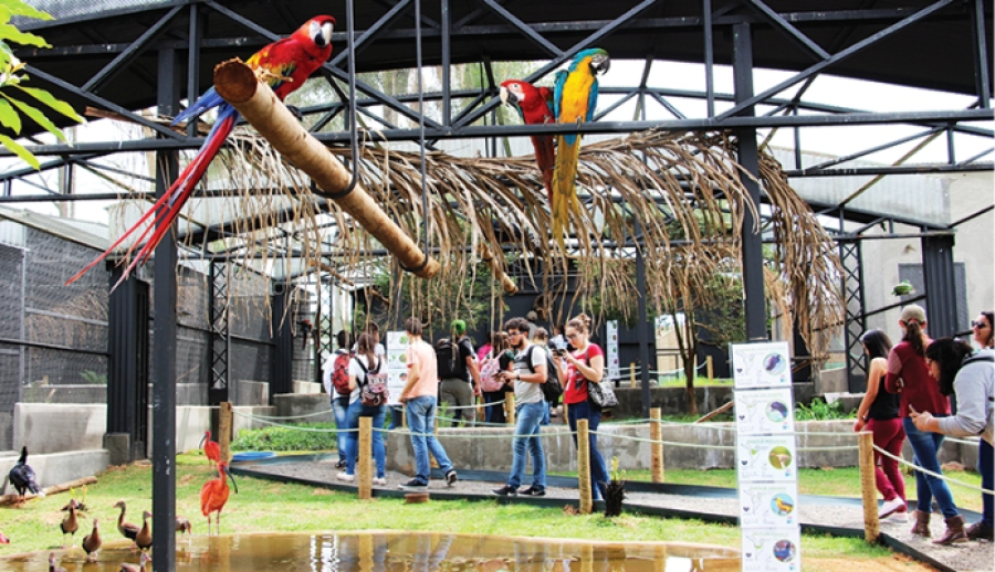 Zoo das Aves