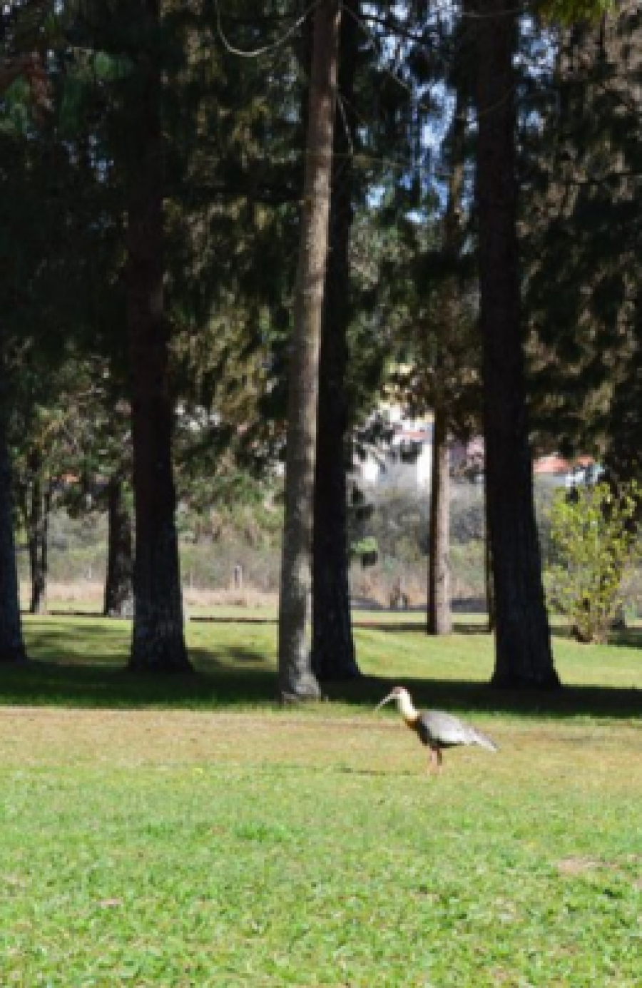Parque Ecológico Municipal